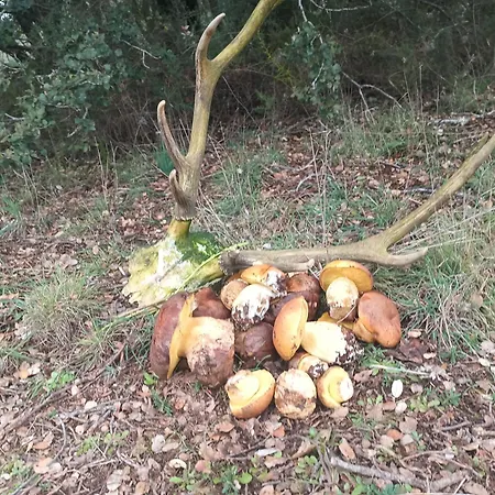 Molino De Prázdninový dům