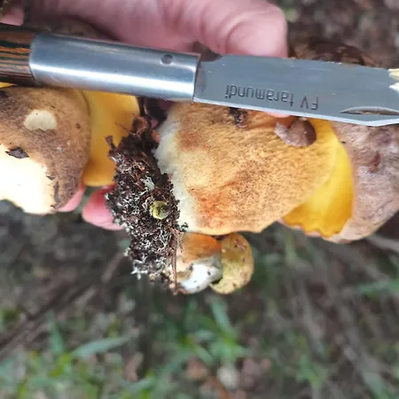 Molino De Prázdninový dům Tabara