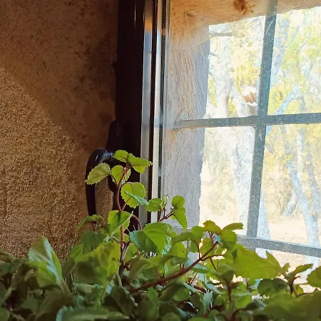 Prázdninový dům Molino De Tabara