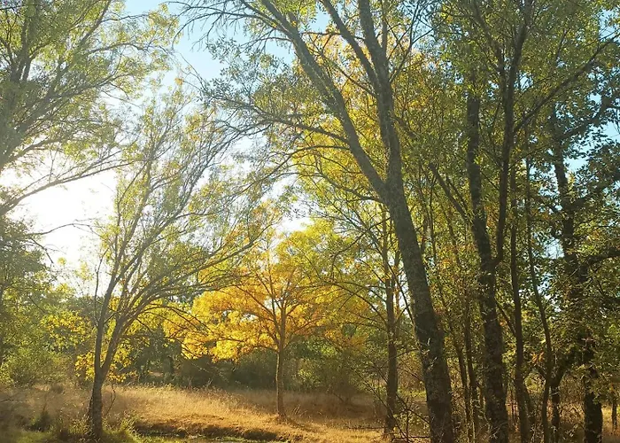 Molino De Casa de Férias Tabara