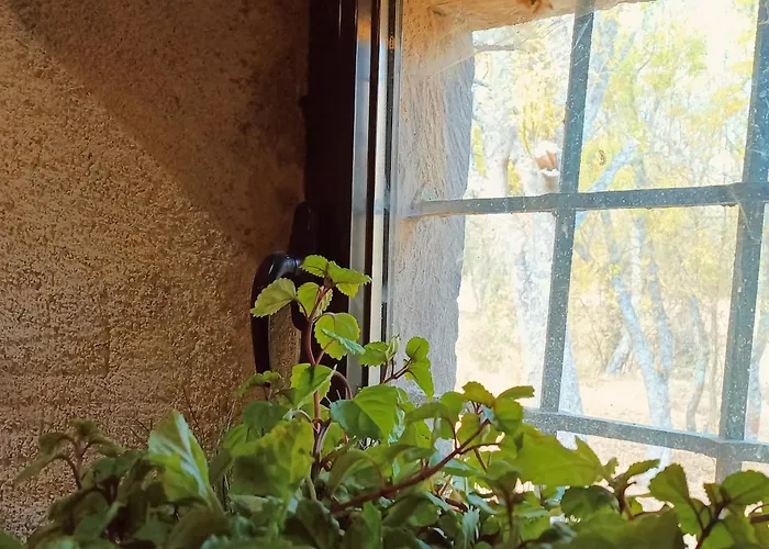 Casa de Férias Molino De Tabara